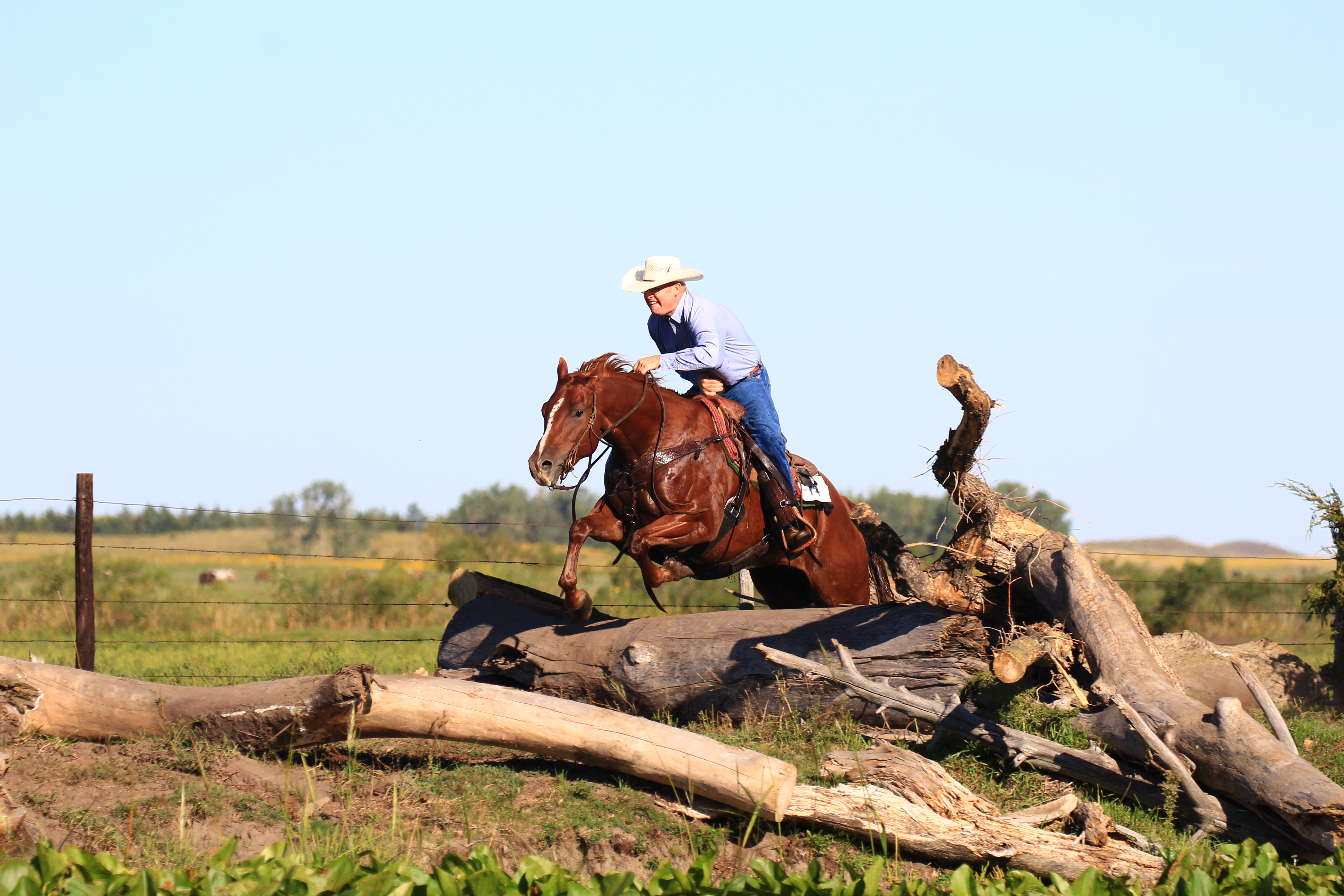 IMG_2963 – Pitzer Ranch