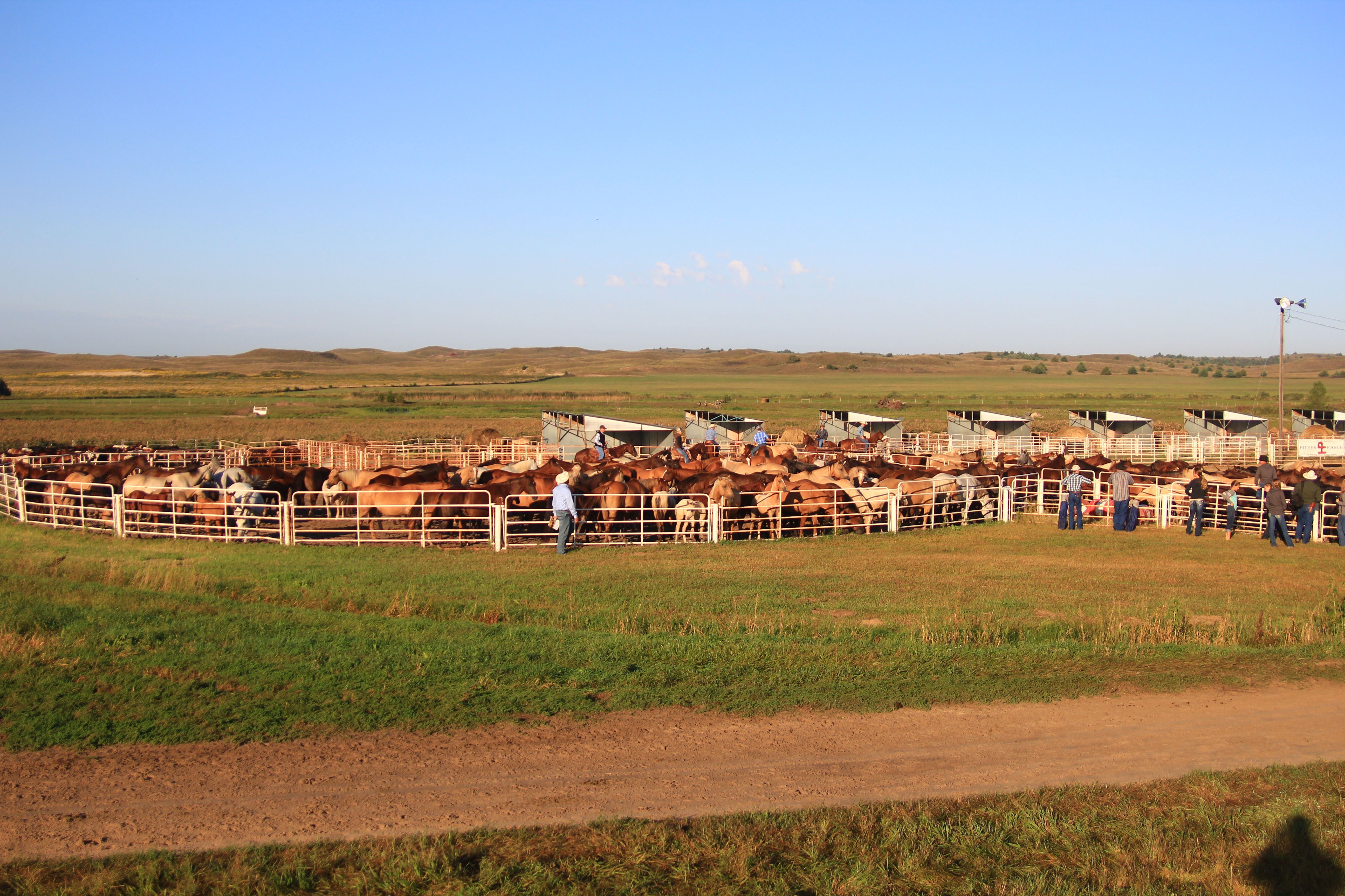 IMG_4400 – Pitzer Ranch