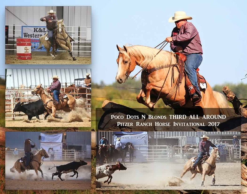 2017 HPI All Around 3rd Casey Hicks and Poco Dots N Blonds – Pitzer Ranch