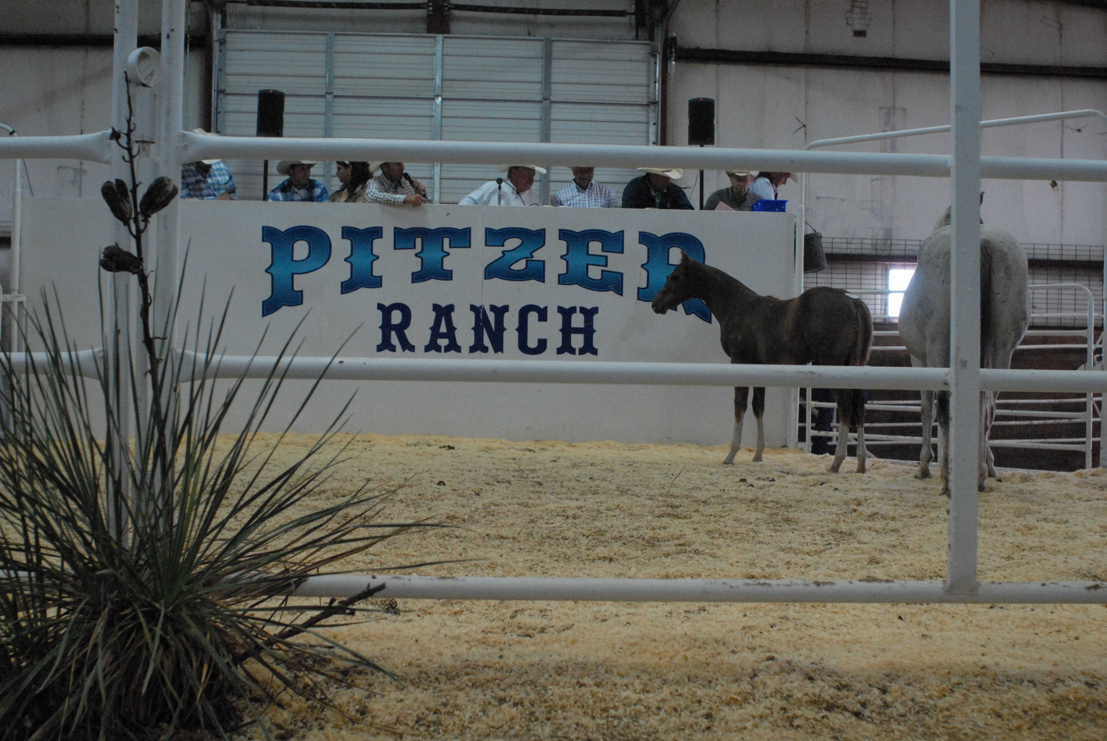 5 – Pitzer Ranch