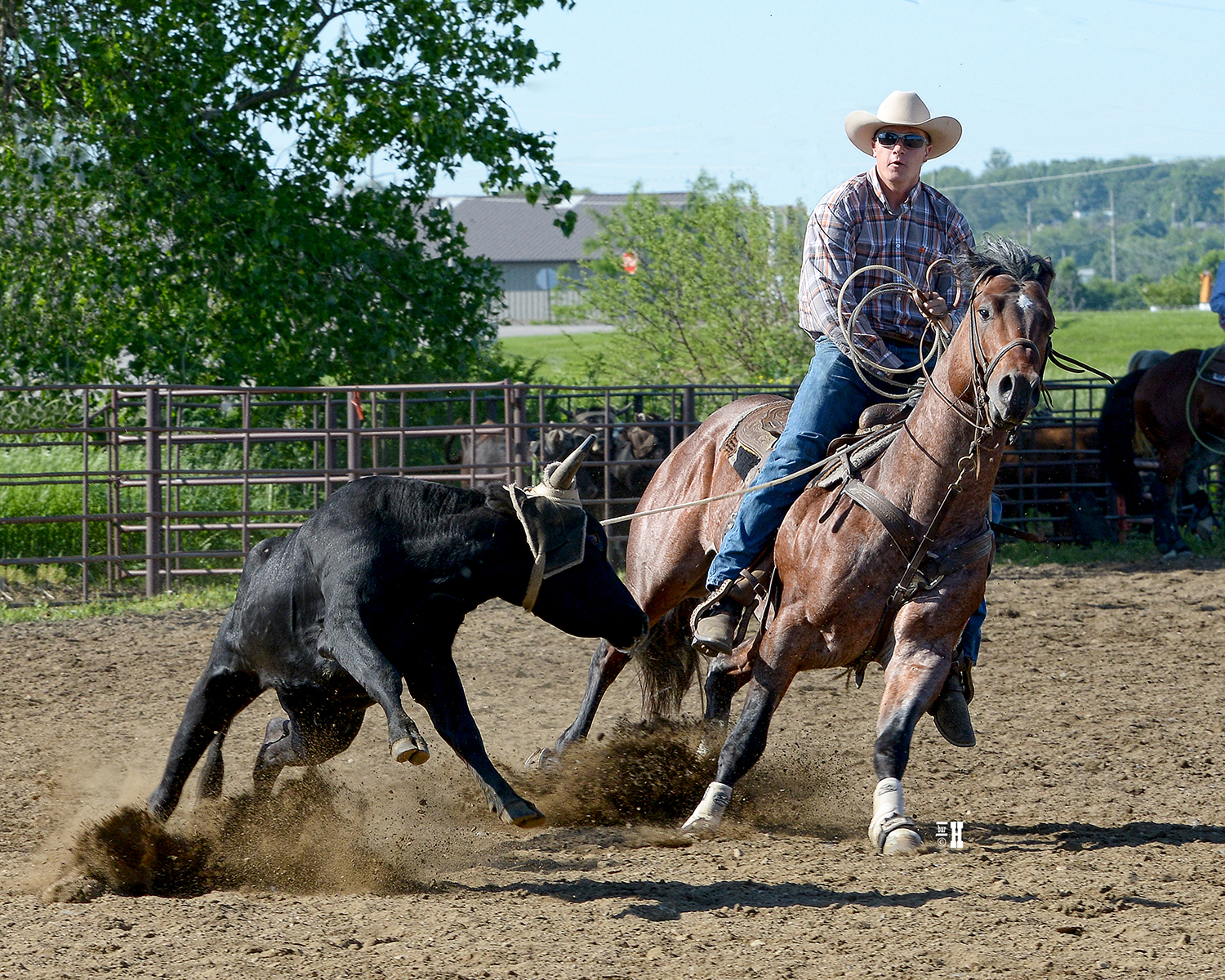 Dukixote – Pitzer Ranch