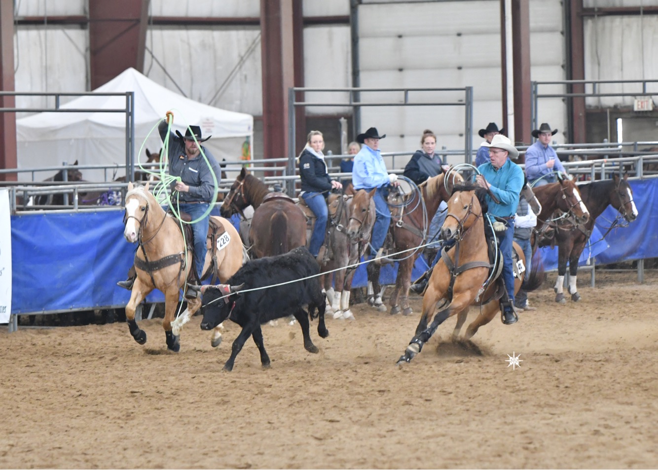 IMG_7687 – Pitzer Ranch