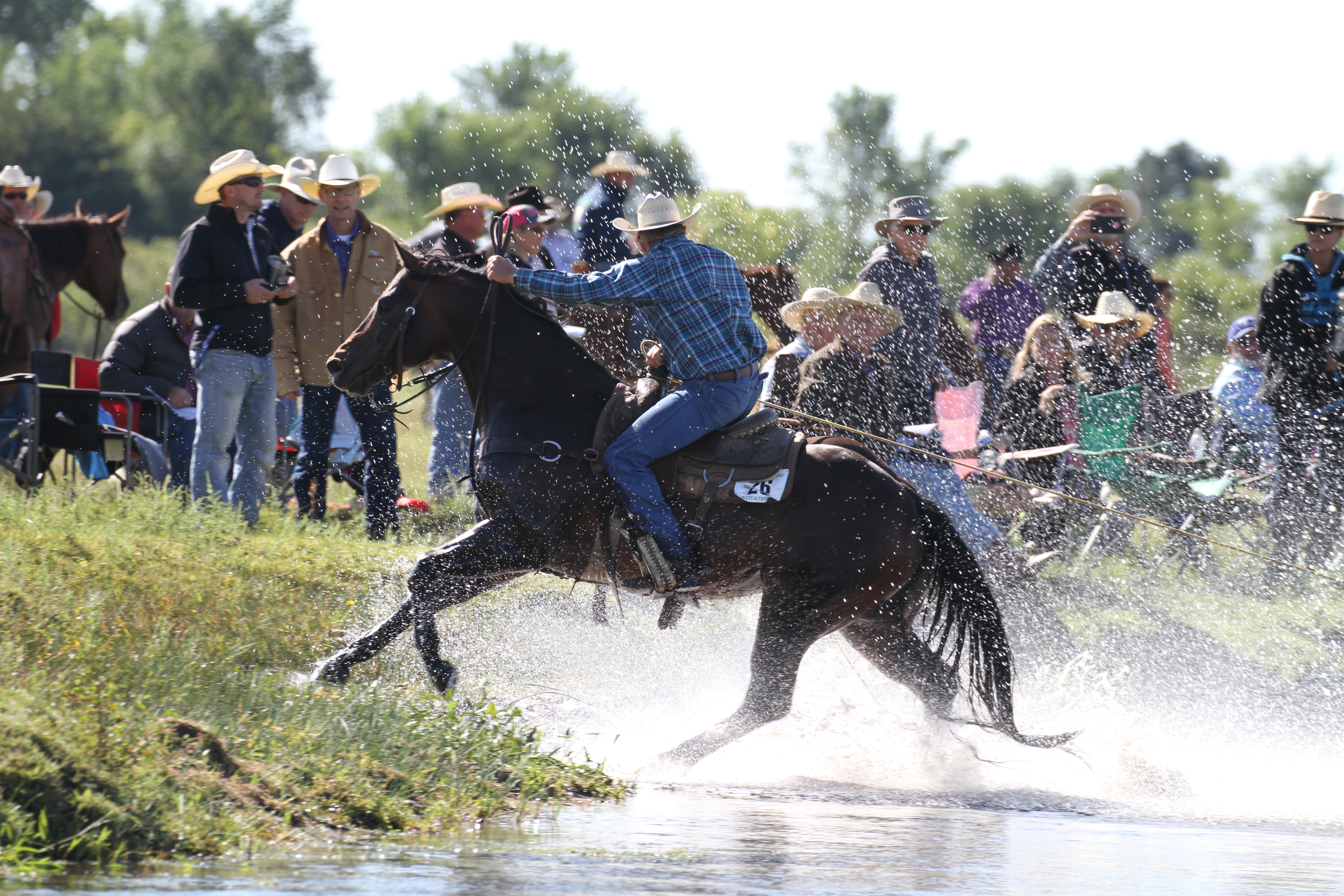 img_3557-1 – Pitzer Ranch